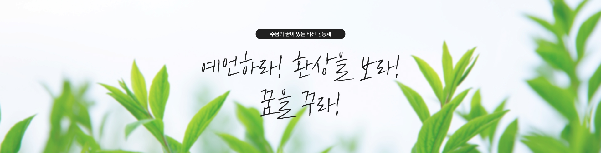 보라!들으라!두라!말하라!